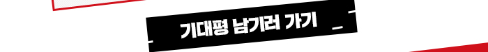 기대평남기러가기