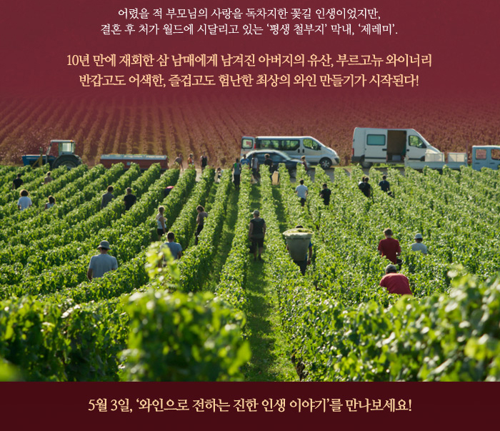 어렸을 적 부모님의 사랑을 독차지한 꽃길 인생이었지만 결혼 후 처가 월드에 시달리고 있는 평생 철부지 막내 제레미10년만에 재회한 삼 남매에게 남겨진 아버지의 유산 부르고뉴 와이너리 반갑고도 어생한 즐겁고도 험난한 최상의 와인 만들기가 시작된다!