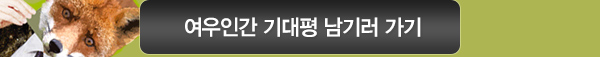 여우인간 기대평 남기러 가기